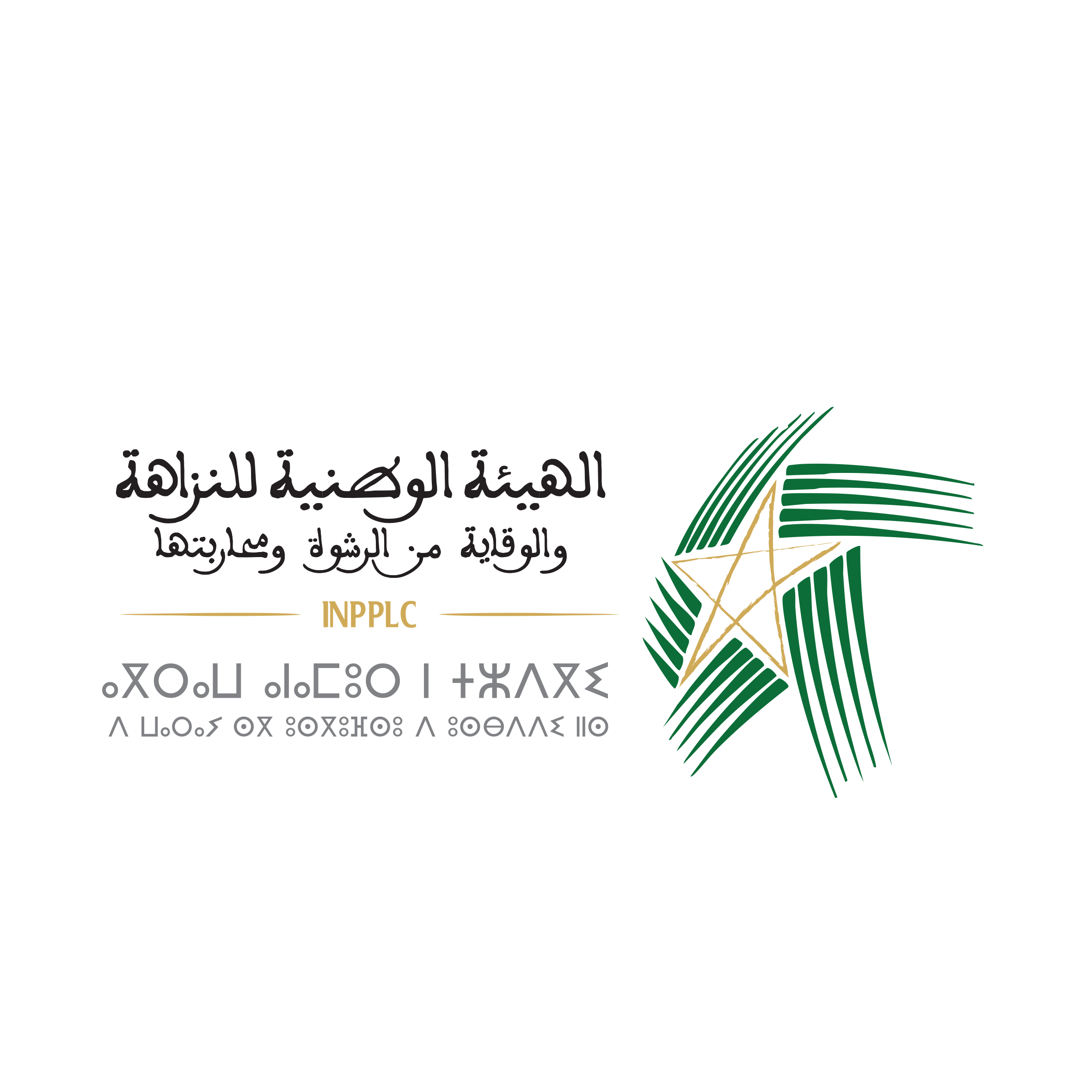 الهيئة الوطنية للنزاهة والوقاية من الرشوة ومحاربتها